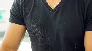 Begin the process when your pet is in a good mood, or else she will make a run for it when you try to hold her. How To Remove Pet Hair From Clothes The Complete Tutorial