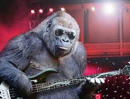 Sometimes Nothing Beats Slapping The Bass Bass Gorilla Coolguy Music Funny Animals Gorilla Musicals Cartoon Animals
