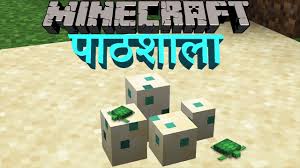 Turtles will always search for the chunk that they spawned into to lay their eggs. Minecraft Turtle Spawn Egg Novocom Top