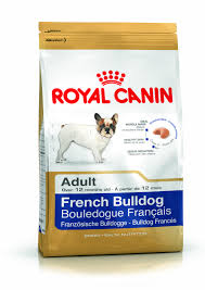 pin on french bulldog in malaysia