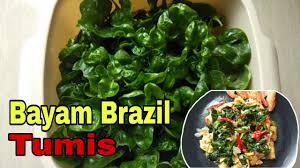 Check spelling or type a new query. Pertama Kali Masak Dan Makan Bayam Brazil Yummy Youtube