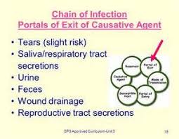 Portal Of Entry For Infection Infections Chain Of Infection Infection Control