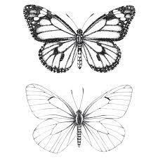 Butterfly Temporary Tattoo Shell Tattoos Temporary Tattoo Designs Inspirational Tattoos
