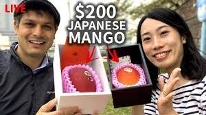 The price ranges from over rs 15000 to rs400,000 for a box. 200 Miyazaki Mango Unboxing And Tasting Youtube