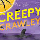 Creepy Crawley - Trick or Treat Bag Decorating event in Crawley