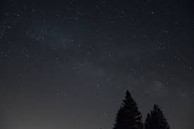 This event will tests student's knowledge of astronomy in two parts number of participants: Pine Trees Night Nature Outdoors Astronomy Space Starry Sky Universe Cc0 Public Domain Royalty Free Piqsels