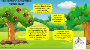 Berdasarkan buku teks sains tahun 4 edisi terkini, buka muka surat 6. Tumbuhan Tahun 1 Youtube