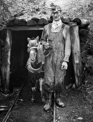 Jack Delano's Farm Security Administration Photographs