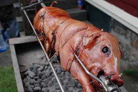 I got a request to post pictures of different sized pigs to help a fellow figure out what a 50lb pig size first: Pig Roast The Food In My Beard