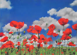 Buzele ei si trandafirul iubirii. Tablouri Cu Flori Fragilitate Pe Pamant Si N Cer 70x100cm