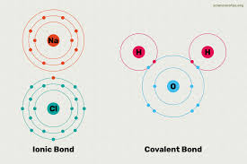Student exploration ionic bonds answer key quizlet : Ionic Vs Covalent Bonds