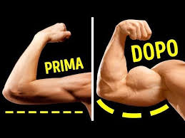 7 Esercizi Ottimi Per Bicipiti Muscolosi Da Fare A Casa Youtube Bicipiti Allenamento Bicipiti Allenamento Bicipiti