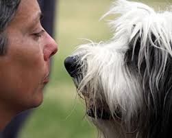 Regional Agility 2012