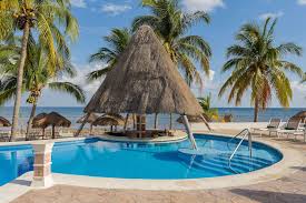 Image result for Melia