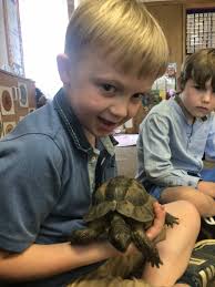 Weekly Newsletter 16 June 2023