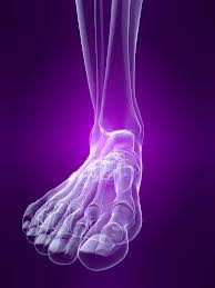 Flexion of 4 lesser toes at metatarsophalangeal, proximal & distal interphalangeal joints inversion of foot plantar flexion of ankle. Metro Foot And Ankle Centers Pc Foot Anatomy