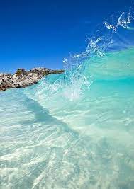 Zsazsa Bellagio Like No Other Waves Ocean Surfing