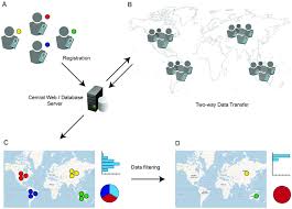 Data Collection Collation And Visualisation Framework Using Epicollect Download Scientific Diagram