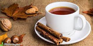 17 Health Benefits Of Cinnamon Tea 10 Strong Reasons To Drink More