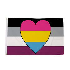 The best gay, bisexual, pansexual and other lgbt flags. 5 Asexual With Panromantic Heart Pride Flag