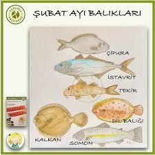 Irem Yilmaz Adli Kullanicinin Balik Fish Tarifleri Panosundaki Pin Somon Beslenme Saglik