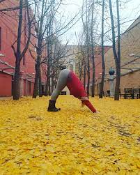 Maybe you would like to learn more about one of these? Roanoke Yoga Home