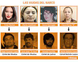 Amazon advertising find, attract, and Narco Viudas Las Herederas Del Poder Y Los Imperios Criminales Infobae
