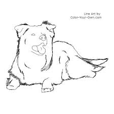 Maybe you would like to learn more about one of these? Border Collie Dog Laying Down Coloring Page Border Collie Dog Border Collie Drawing Borders