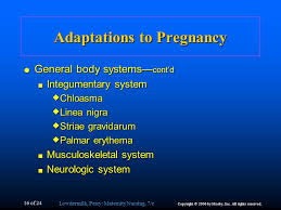 Palmar erythema is a skin condition in which the palms of both hands (and sometimes the feet) develop a reddish or darker color. Anatomy And Physiology Of Pregnancy Ppt Video Online Download