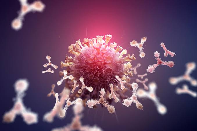 Scientists Uncover Hidden Biological Differences Between Men and Women's  Immune Systems
