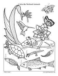 A Wetland Coloring Page For Very Young Naturalists With A Little Smiling Animal Twist Animal Habitats Animals That Hibernate Animal Coloring Pages