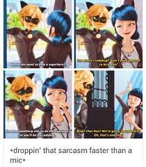 Pin By Orangefur On Miraculous Ladybug Miraculous Ladybug Memes Miraculous Ladybug Comic Miraculous Ladybug Funny