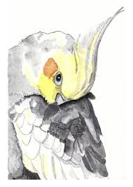 Cockatiel Art Print Nursery Wall Art Art Above Crib Gift Etsy Bird Art Print Art Bird Art