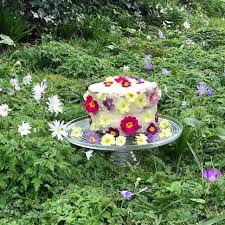Check spelling or type a new query. Lemon Sponge Cake With Edible Flowers Tastebotanical