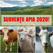 Condiţiile de eligibilitate, actele ce trebuie depuse şi sumele alocate pentru sprijinul ce vine în completarea ajutorul naţional tranzitoriu. Reguli Obligatorii In Acest An Pentru Incasarea SubvenÈ›iilor Apia Agroinfo Ro