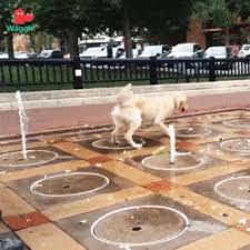 Check spelling or type a new query. Gotta Be Quicker Than That Gif By Likkaon Gfycat