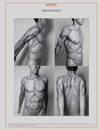 Anatomy For Sculptors 218 Zdjec Vk Anatomy Reference Human Anatomy Drawing Body Anatomy