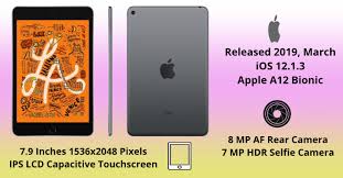 Apple Ipad Mini 5 Reviews With Pros And Cons 2019