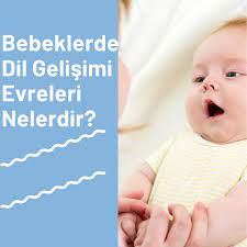 bebeklerde dil gelisimi evreleri bebek bebek ay bebek gelisi