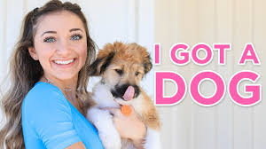 Im sure this store isnt prejudice against any race or gender but the downside of that is they are rude to everyone equally. We Got A Puppy Identical Twins Get A Dog Youtube