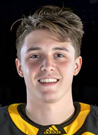 Brian Kramer Hockey Stats and Profile at hockeydb.com