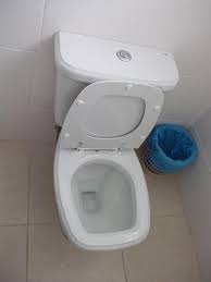 Check spelling or type a new query. A Water Saver S Guide To Low Flow Toilets