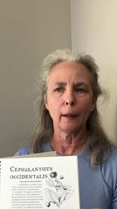 BUTTONBUSH & FROGFRUIT: Susan Norris-Davis, author of Big Easy Native Plant  Guide, names her top two native plant recommendations for pollinators in  the GNO area. (Background noise from excited ...