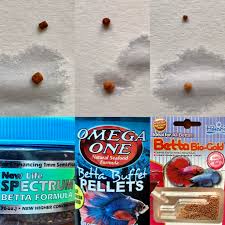 Dry Vs Pre Soaked Pellets Which Do You Feed And How Much Bettafish