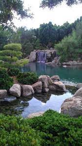 Arizona Japanese Friendship Garden Phoenix Arizona Travel Arizona Vacation Arizona Adventure