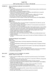 Jan 02, 2021 · mba in marketing often has a number of projects to enhance your overall learning experience. Program Project Management Resume Samples Velvet Jobs