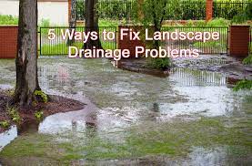5 Ways To Fix Landscape Drainage Problems - Disabatino Landscaping