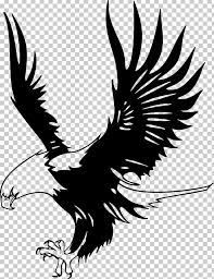 Birds Of Prey Logo Png Bald Eagle Just Eagles Black And White Hawk Eagle Png In 2020 Bald Eagle Hawk Eagle Eagle