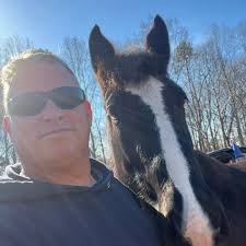 Idler pulley & belt tensioner squealing at 1200 rpm