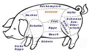 Warenkunde Schwein Kotelett Schwein Wurst Selber Machen Schweine Schlachten